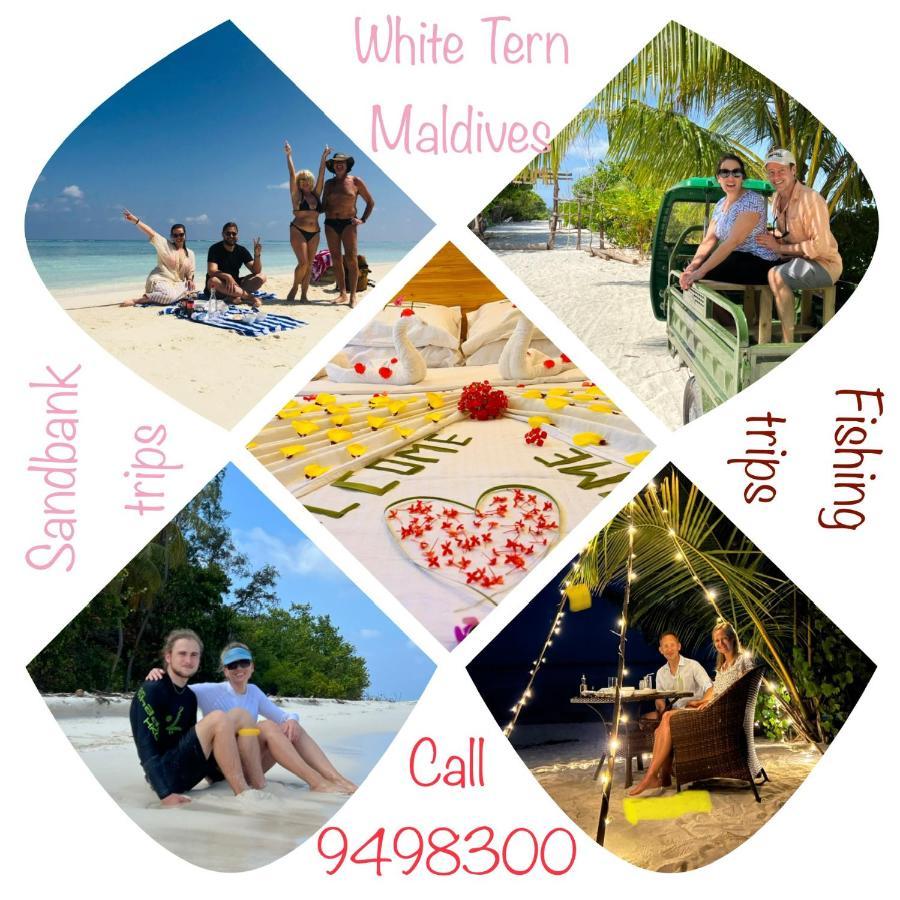 White Tern Maldives Hotel Maamigili Eksteriør billede
